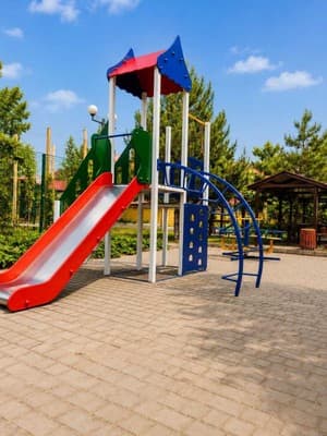 Феникс 24