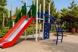 Феникс 24