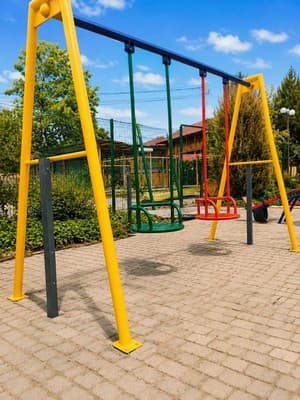 Феникс 25